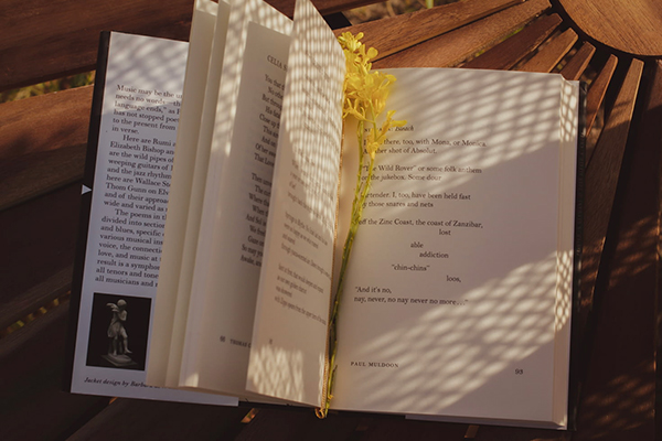 纳兰性德 《虞美人》