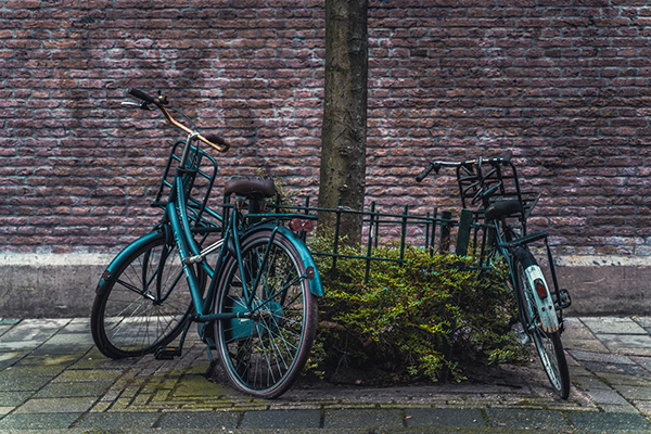 夏夜诗句有哪些