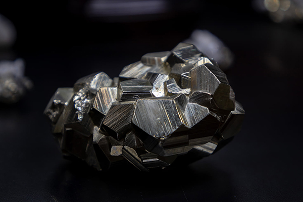 剪剪轻风阵阵寒拼音