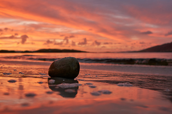 故篱是什么意思是什么