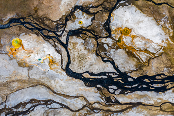 张衡传古诗文网