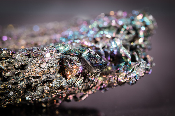 诗经螽斯的解析