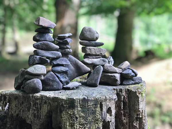 明月星希是什么诗