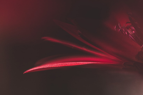 张的繁体字怎么写