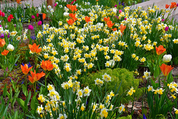 关于描写秋天的古诗有哪些