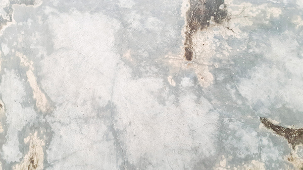 涓嫔崃翻译是什么