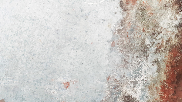 病历申请书怎么写